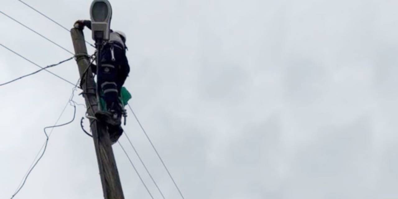 Elektrik Direğinde Mahsur Kalan Kedi Kurtarıldı