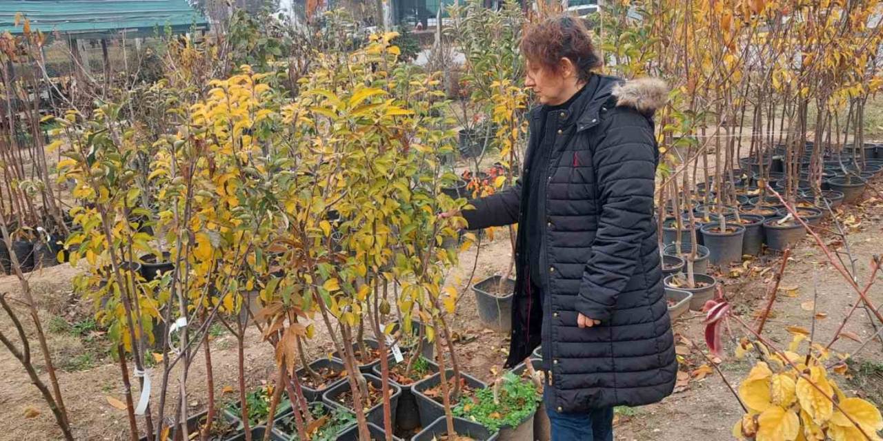 Eskişehir’de Fide Ve Fidan Satış Yerleri Denetleniyor