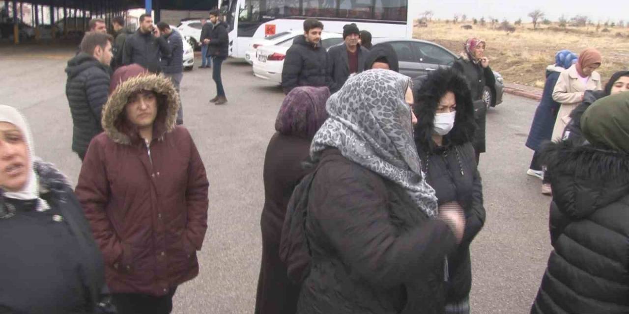 Başkent’te Başıboş Köpek Dehşeti
