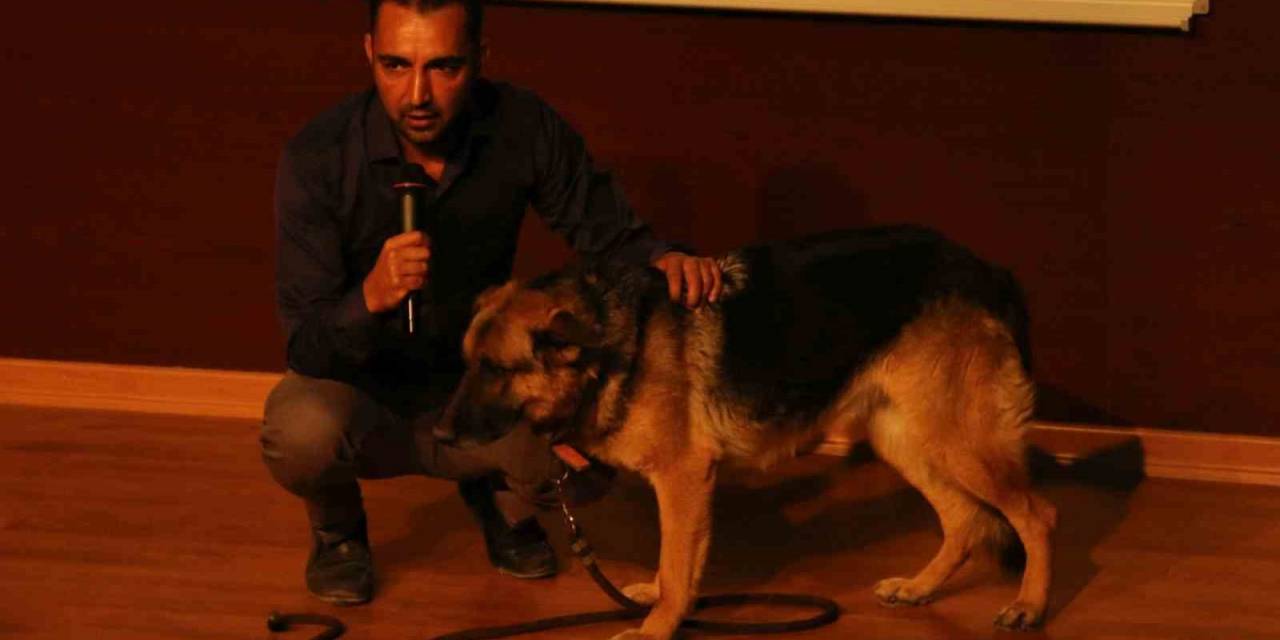 Nevü’de "kent Yaşamında Sokak Hayvanları” Konulu Seminer Düzenlendi