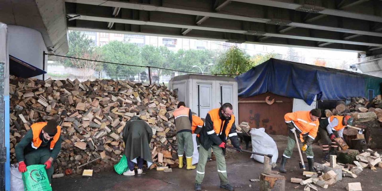 Bayrampaşa’da Budanan Ağaçlar Evleri Isıtıyor