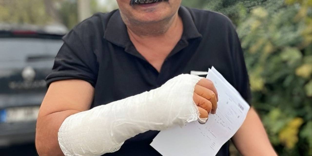 Kedilerin Kavgasını Ayırmak İsterken Kolundan Yaralandı