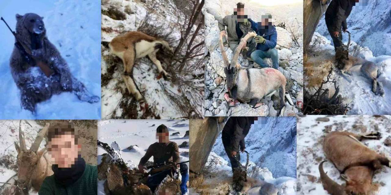 Erzincan’da Yaban Keçisi Avlayan 5 Kişiye 5 Milyon 207 Bin 178 Tl Rekor Para Cezası
