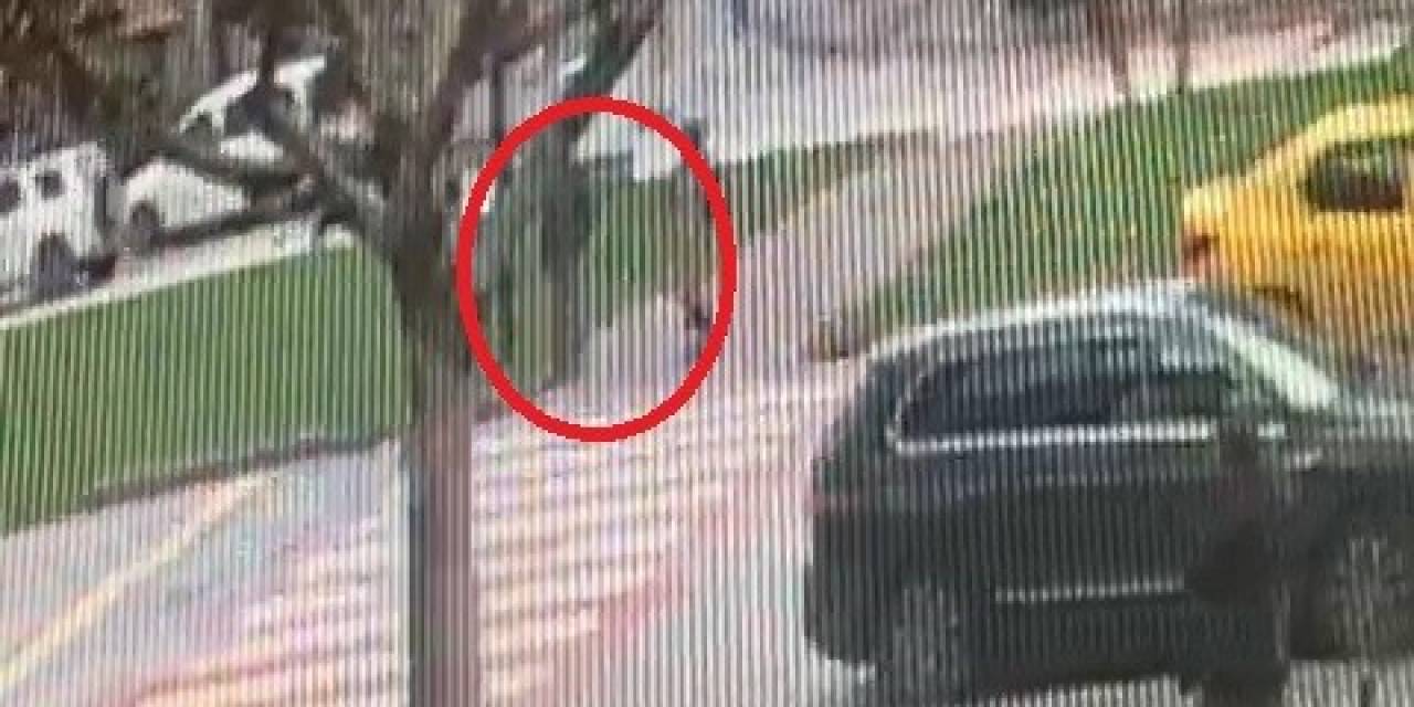 Yaya Geçidinde Ölümüne Sürdü...yaya Böyle Havalandı