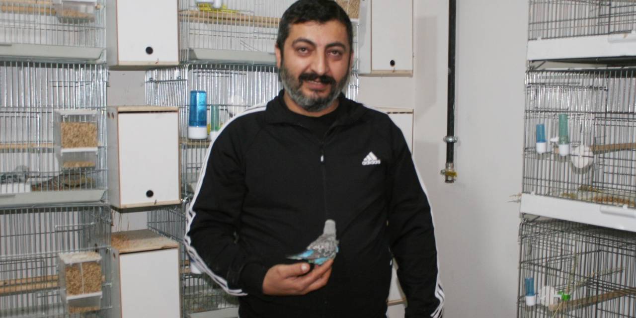 Hobi Olarak Başladılar Normallerinden 3 Kat Büyükler