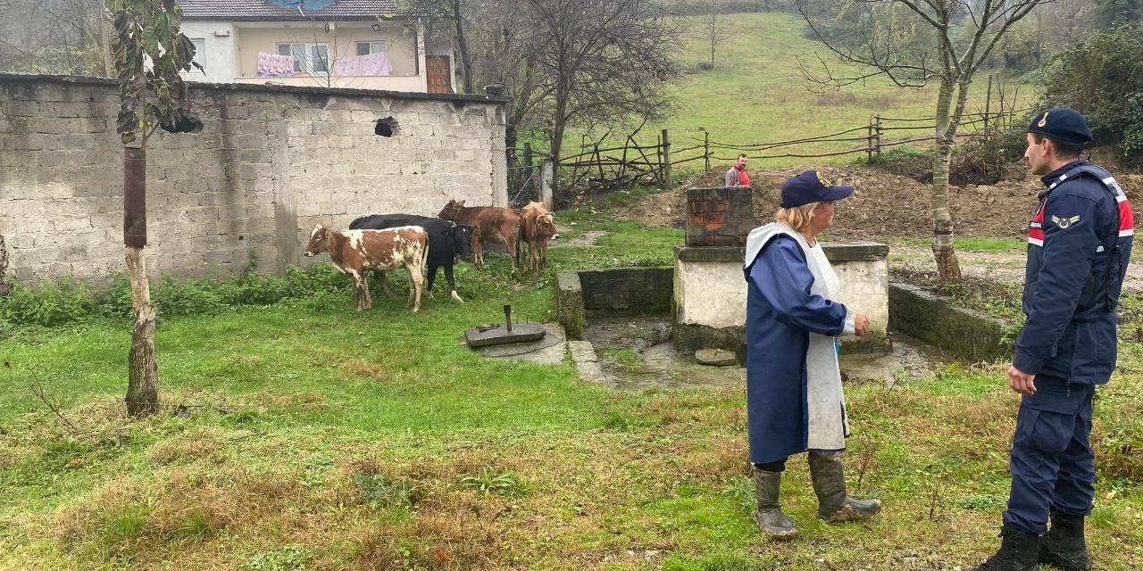 Gökçebey’de Kayıp Büyükbaş Hayvanlar Sahibine Teslim Edildi