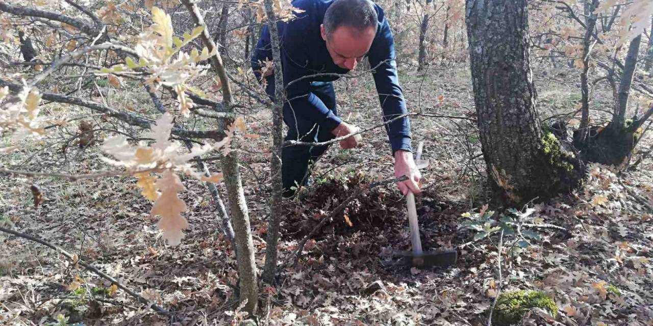 Bitkilerde Faydalı Ve Zararlı Organizma Tespiti Yapıldı