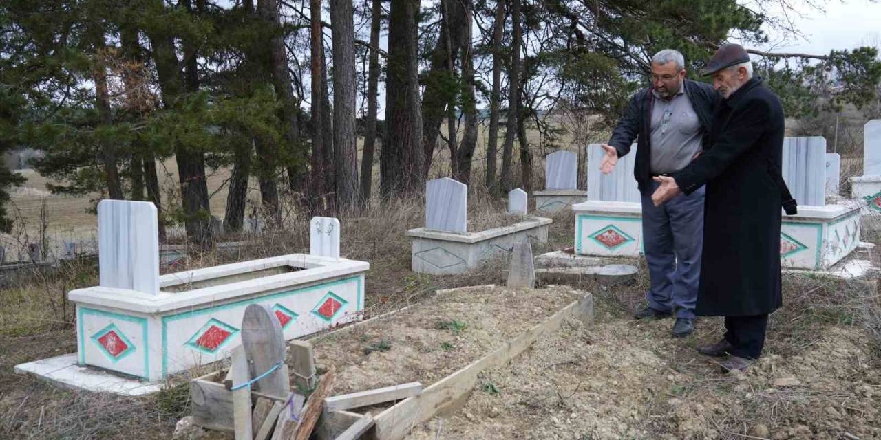 Kış Uykusuna Yatamayan Ayılar, Mezarları Kazmaya Başladı
