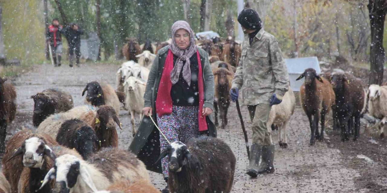 Devletten Destek Alan Kadın Çiftçi Hayvan Varlığını 2 Katına Çıkardı