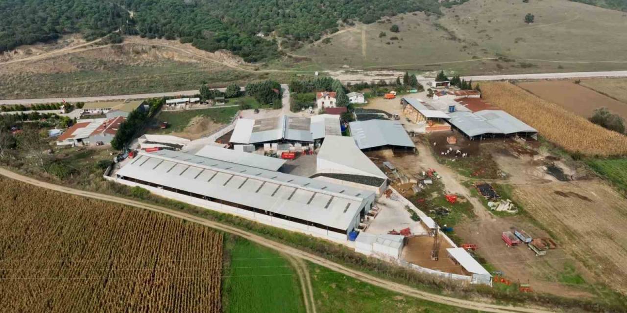 İki Kardeş Mühendisliği Bırakıp Çiftlik Kurdu