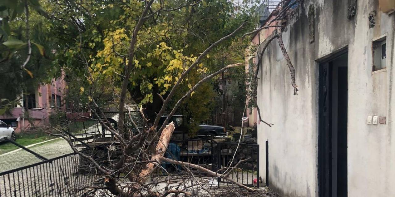 Osmaniye’de Çam Ağacı Evin Üzerine Devrildi