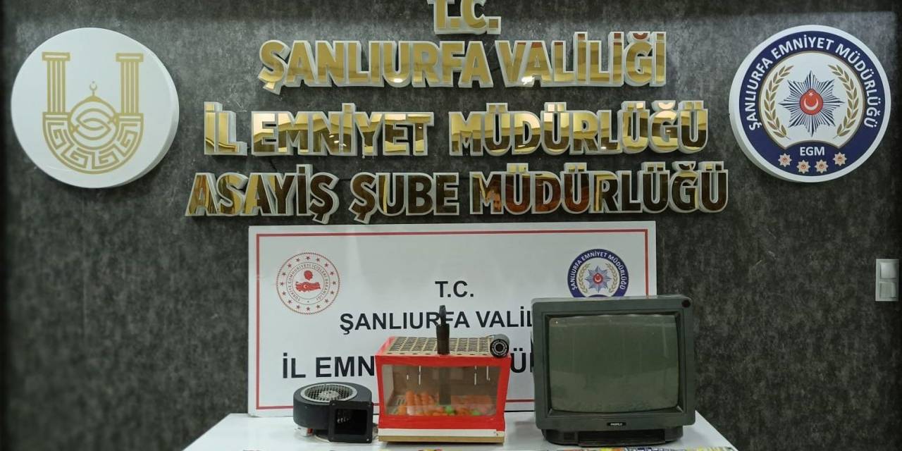 Şanlıurfa’da Tombala Baskını