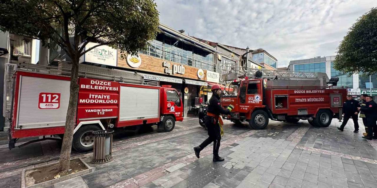 Mahsur Kalan Kedileri İtfaiye Kurtardı