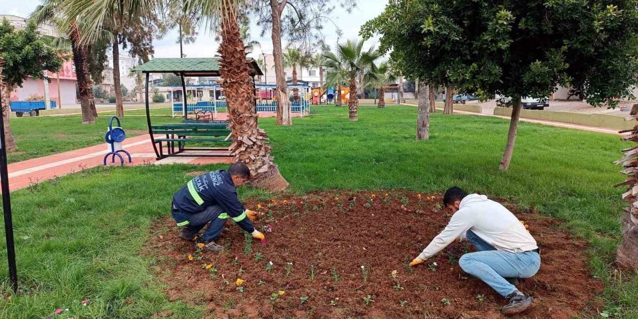 Akdeniz’de Park, Bahçe Ve Yeşil Alanlar Çiçekleniyor