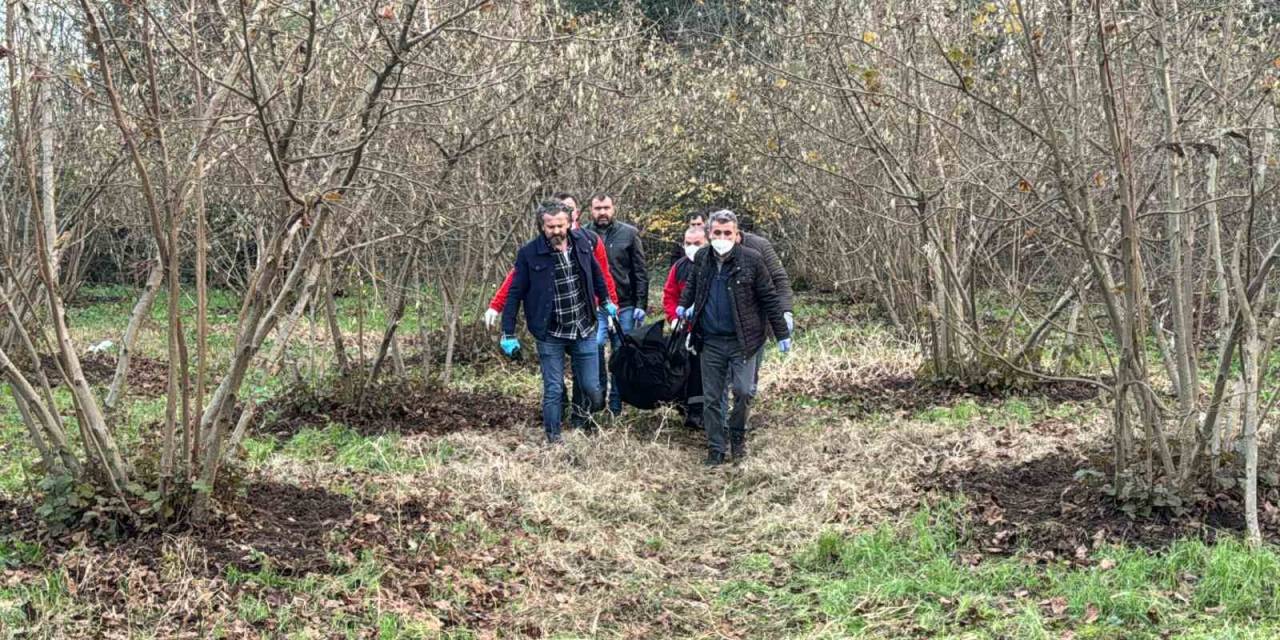 Düzce’de Ormanlık Alanda Erkek Cesedi Bulundu