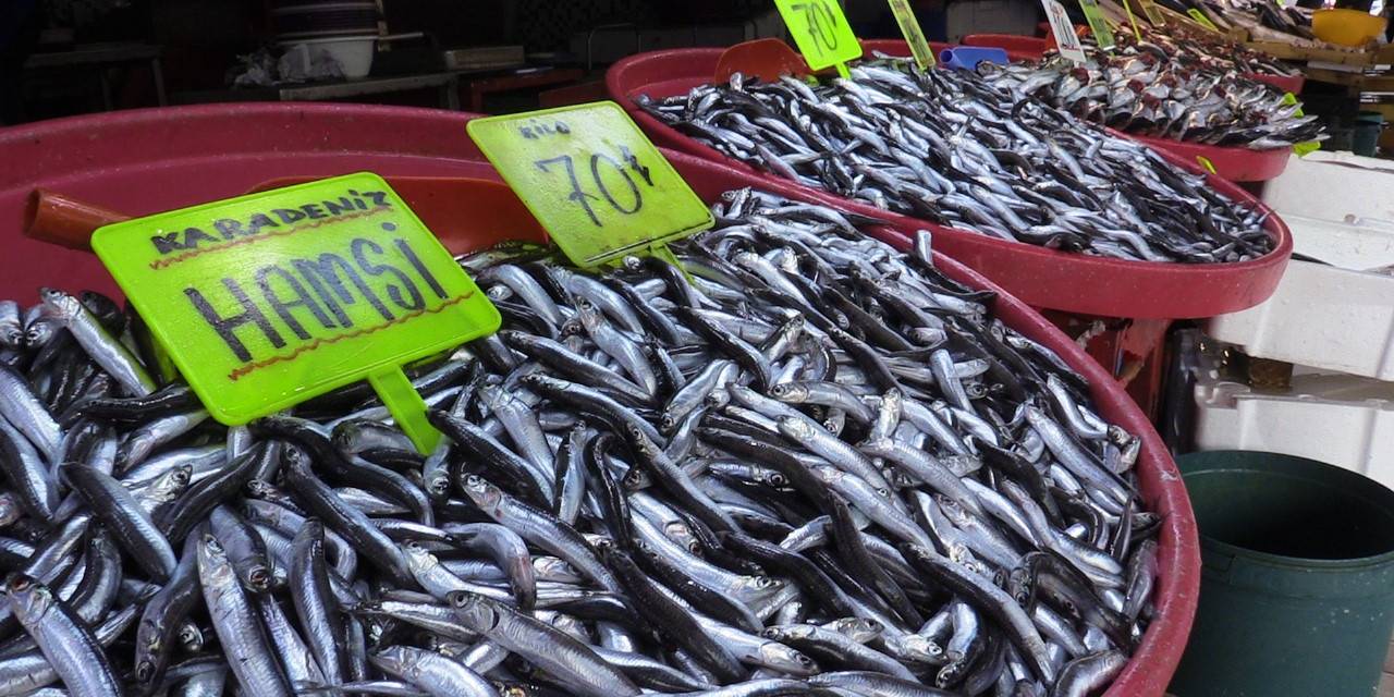 Bandırma’daki Balık Halinde Hamsi Ve İstavrit Bolluğu