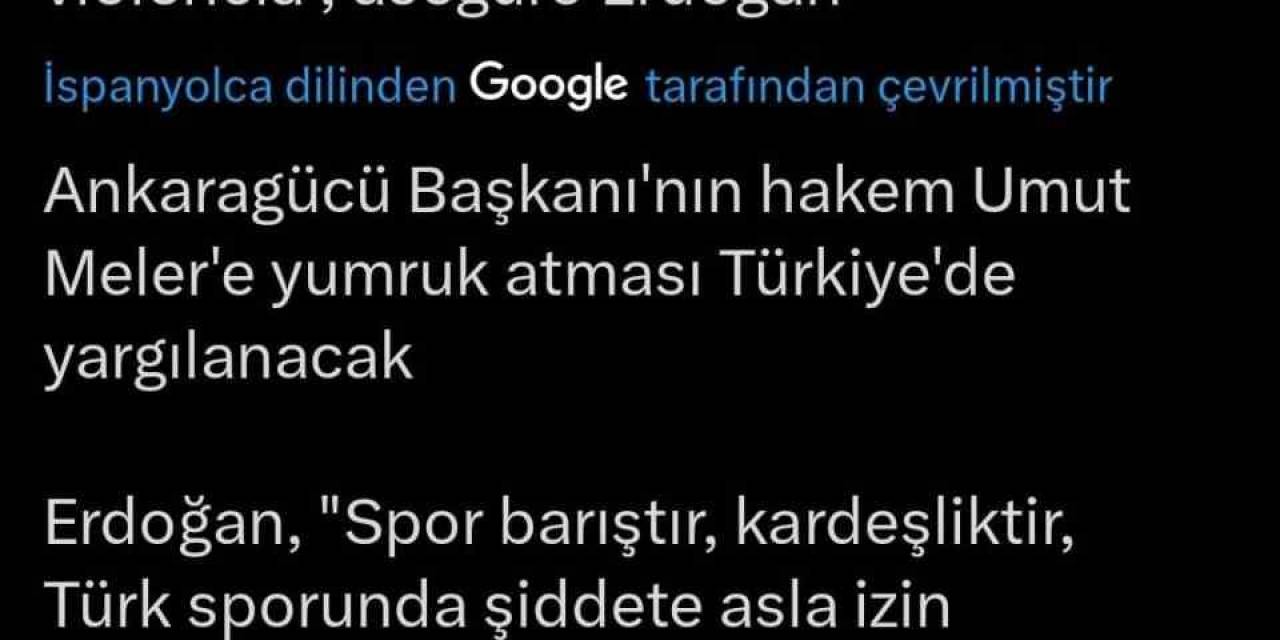 Halil Umut Meler’e Yapılan Saldırı, Avrupa Basınında