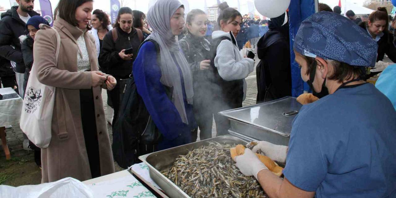 Giresun Üniversitesi’nde Hamsi Şöleninde 1 Ton Hamsi Tüketildi