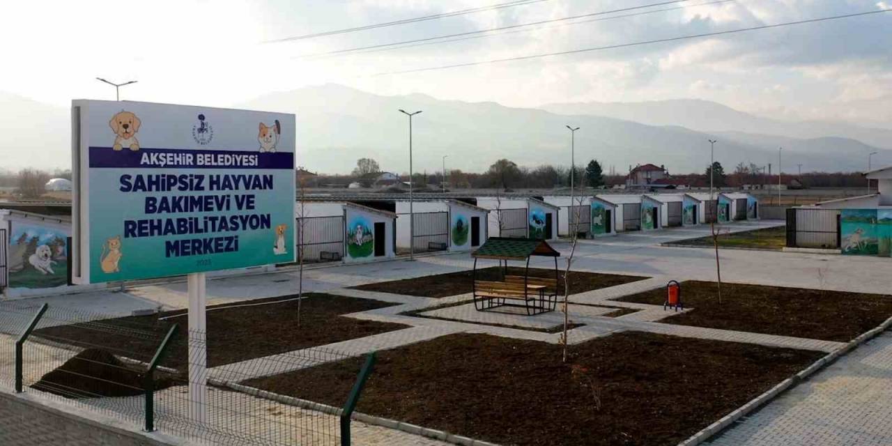 Başkan Akkaya: “Sokak Hayvanları İçin Çözüm Odaklı Adımlar Atıyoruz”