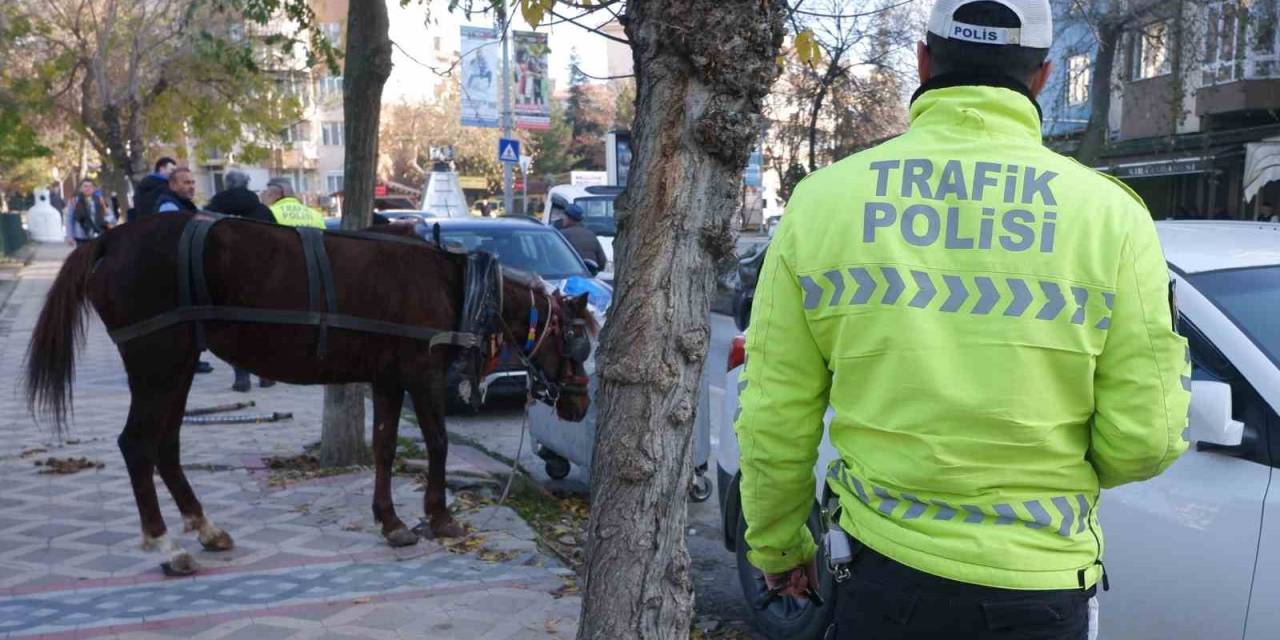 Edirne’de İlginç Olay: Başıboş At 5 Araca Hasar Verdi