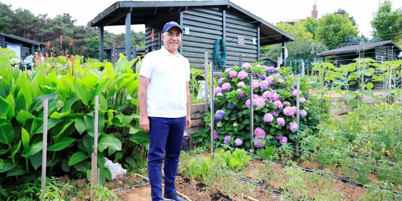 Sultangazi Belediyesi, Hobi Bahçeleri İle İlçe Sakinlerinin Doğa Özlemini Gideriyor