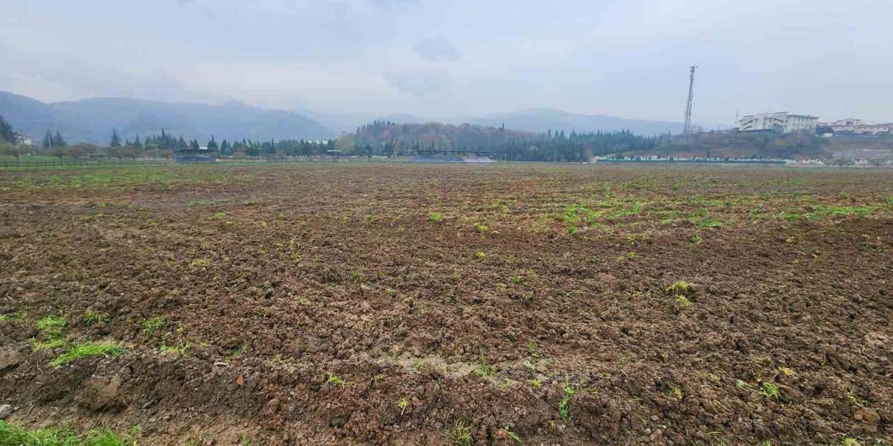 Sosyal Hizmet Tarlasında Bu Kez Yem Bitkisi Yetişecek