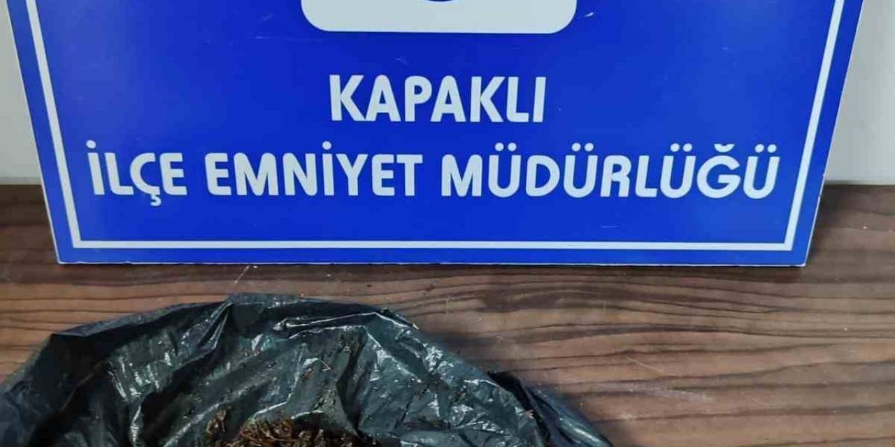 Kapaklı’da Şüpheli Şahsın Üzerinden Bonzai Çıktı