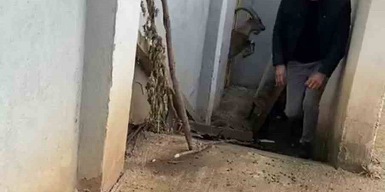 Öyle Bir Yerde Mahsur Kaldı Ki, Kurtarılır Kurtarılmaz Hemen Yaşam Alanına Koştu