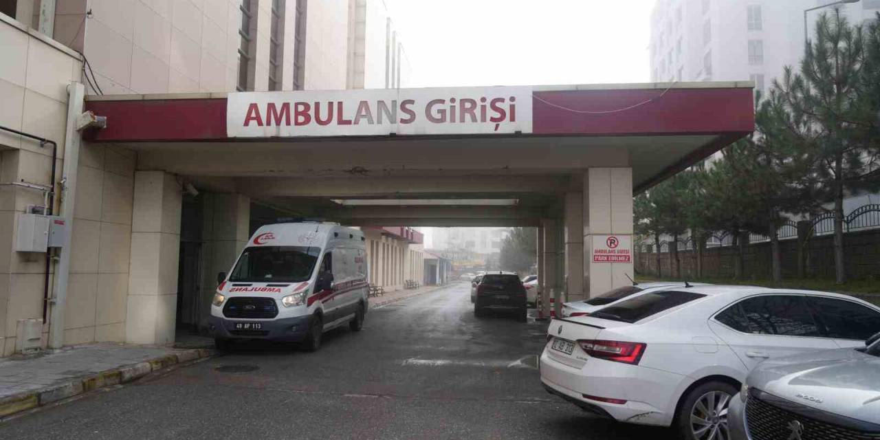 Köpeklerin Saldırısına Uğrayan Yaşlı Kadın Tedavi Altına Alındı