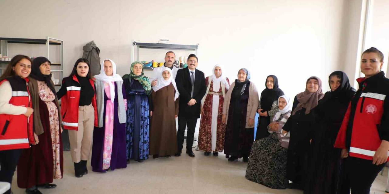 Vali Yardımcısı Mahmutoğlu, Çınarlarla Yakından İlgilendi