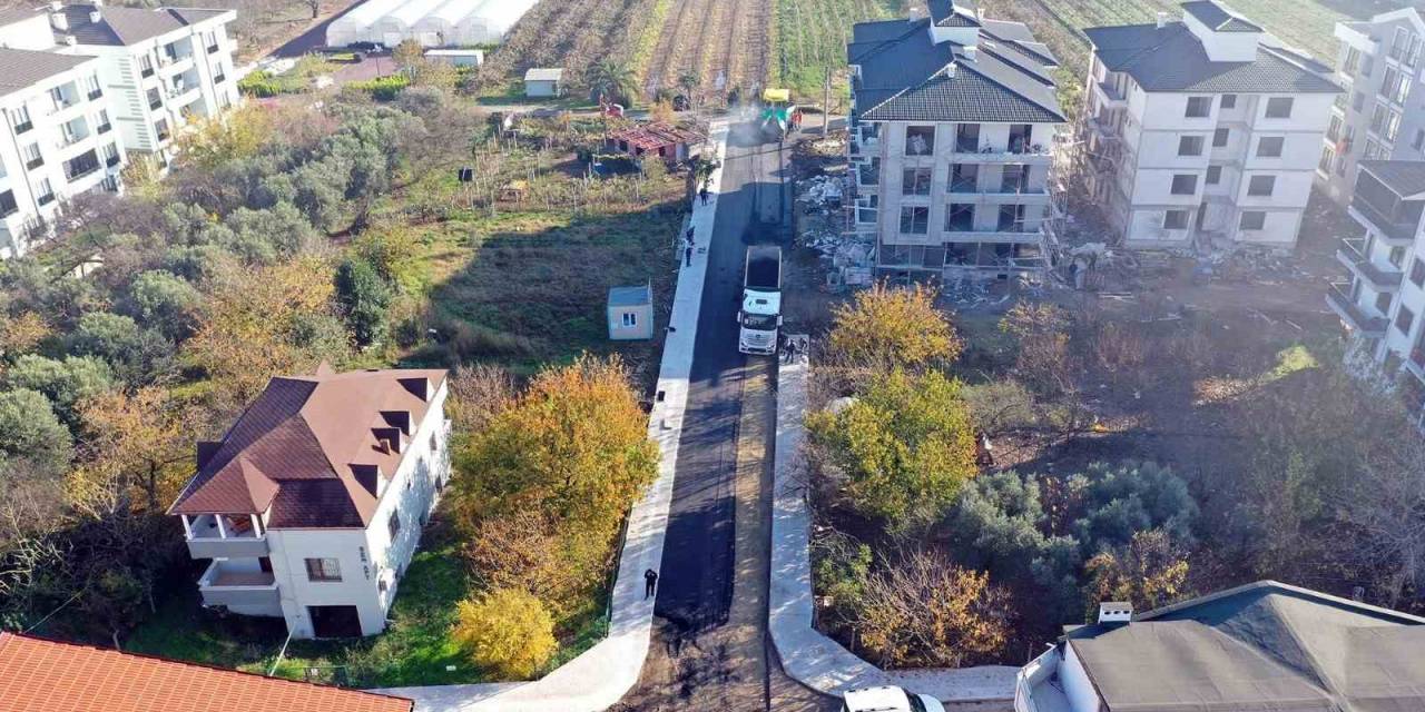 Altınova Belediyesi’nde İlçede Asfaltlama Çalışması