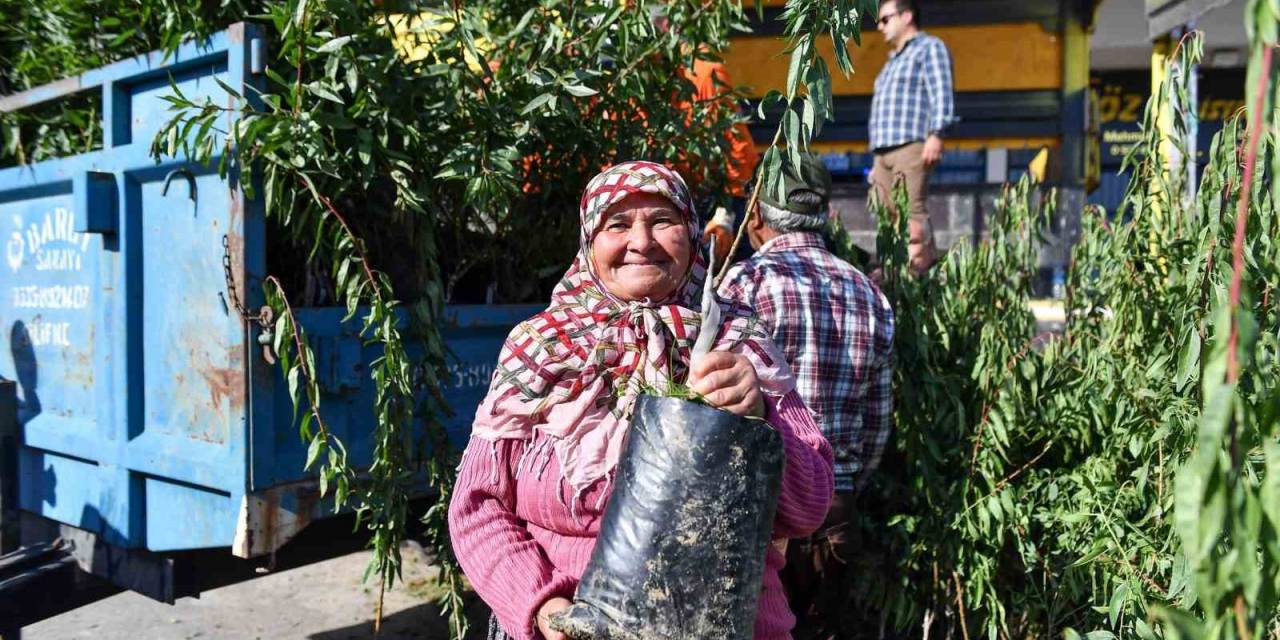 Mersin’de Üreticilere Badem Fidanı Desteği