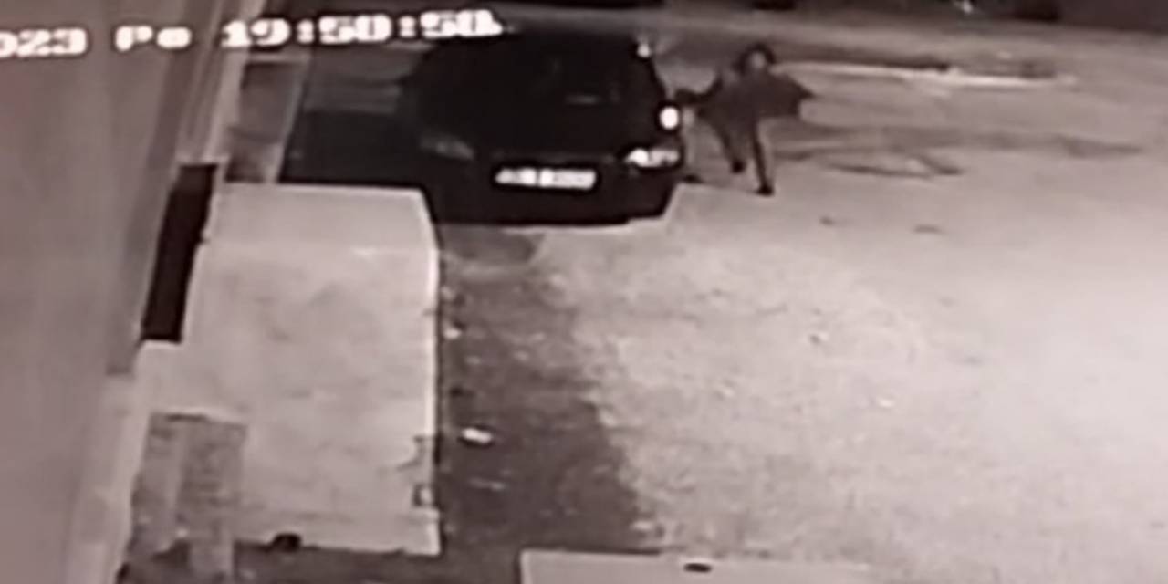 Köpeğin Saldırdığı Genç Kız Son Anda Kurtuldu