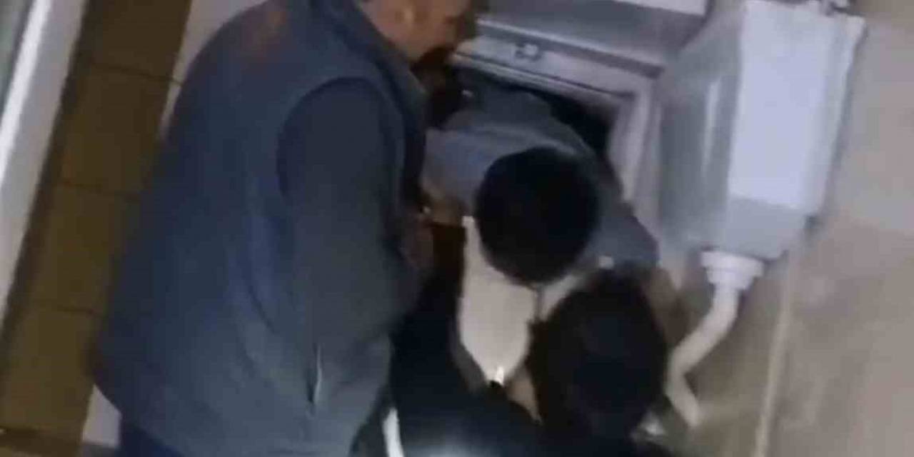 8 Yaşındaki Çocuk Yavru Kediyi Kurtardı