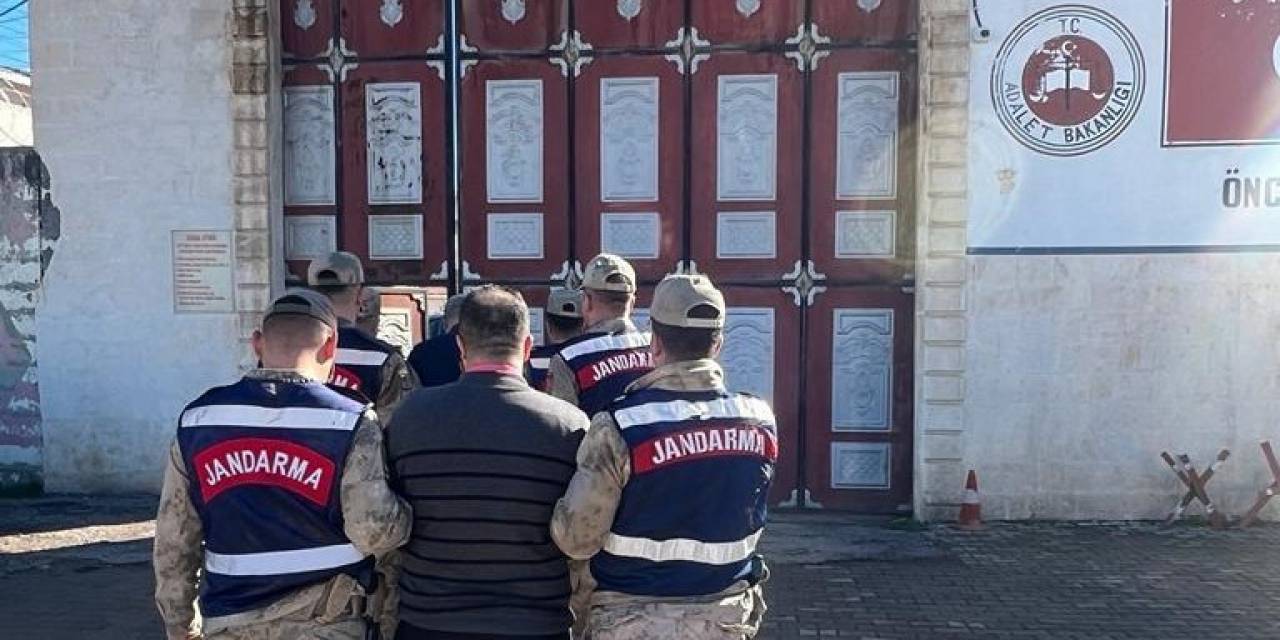 Mardin’de Büyükbaş Hayvan Çalan 3 Hırsız Tutuklandı