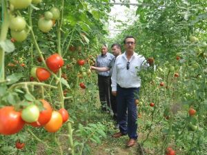 İnegöl’ün Geleceği Meyvecilik