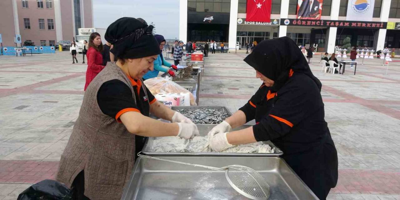 Sinop’ta Hamsi Şenliği: 1 Ton Hamsi Tüketildi