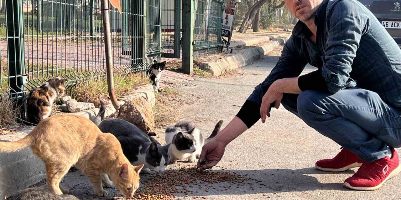 ‘Enkaz’ İsimli Kedileri Enkaz Bölgesinde Besliyor