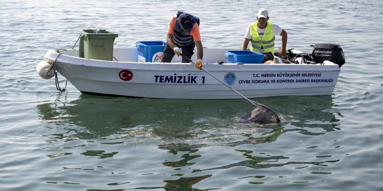 Akdeniz’de Mikroplastik Alarmı: Denizden Çıkan 1 Ton Atığın 800 Kilogramı Plastik