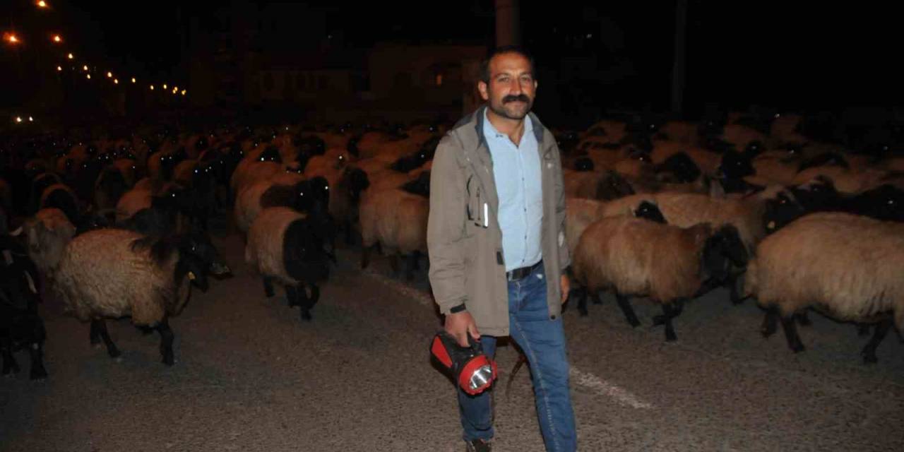 Cizre’de Gecenin Sessizliğini Kuzu Ve Koyunların Ayak Sesleri Bozdu