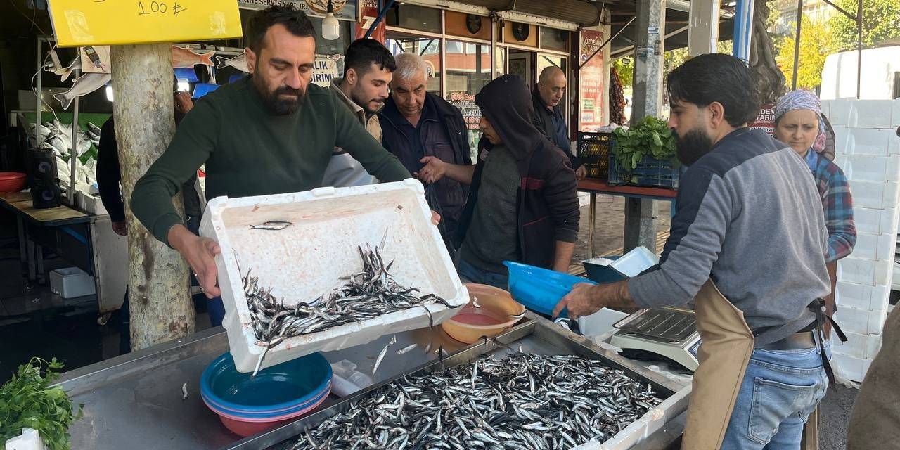 Kilis’te Balık Tezgahlarını Karadeniz Hamsisi Süslüyor