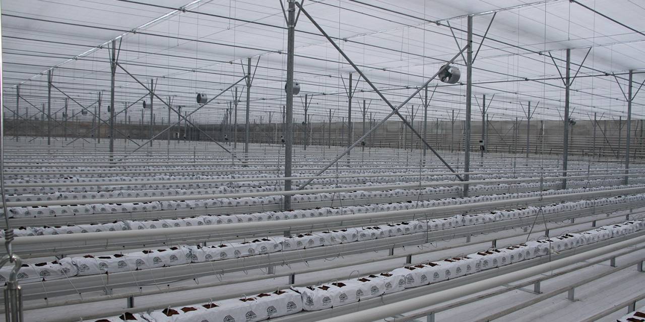 Eski Bakan Kasapoğlu Memleketindeki Yatırımları İnceledi