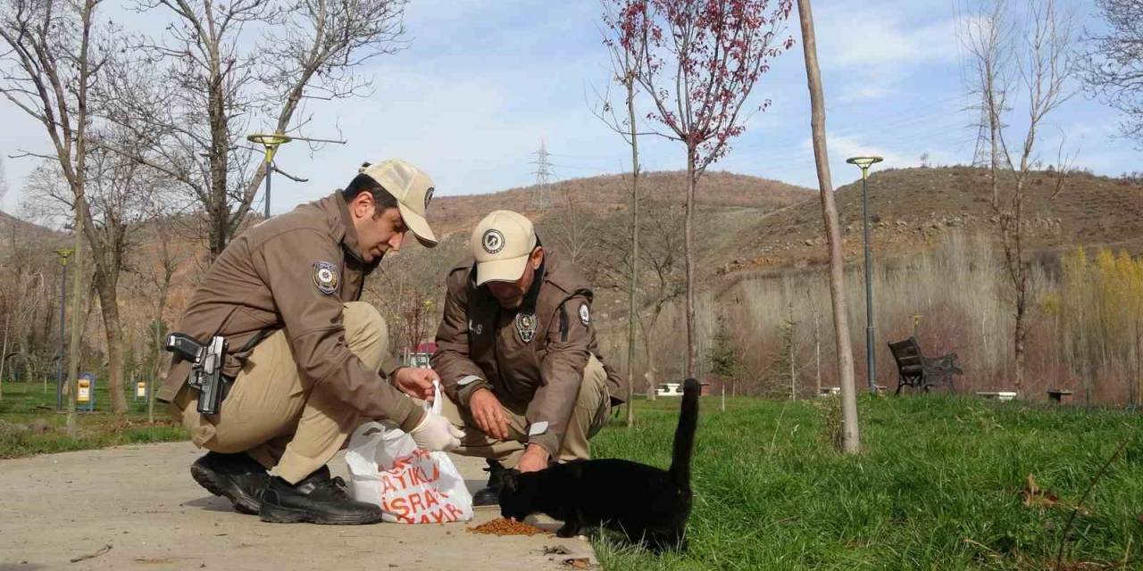 Bingöl’de Haydi Ekipleri Can Dostları Unutmuyor