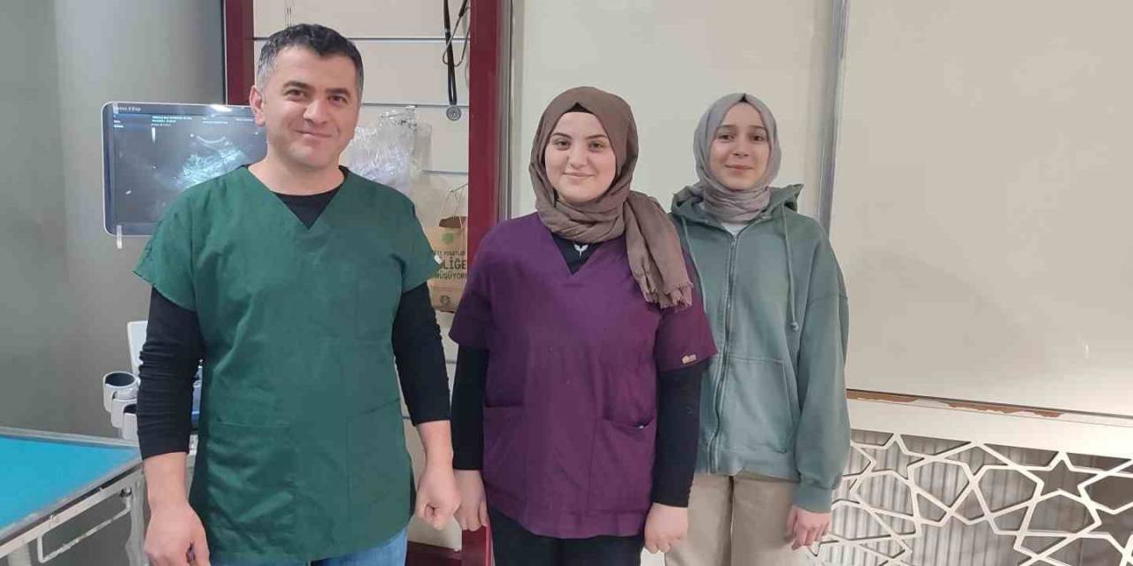 Hamile Koyun Dakikalarca Yavrusunun Kalp Atışını Dinledi: O Anlar Kamerada