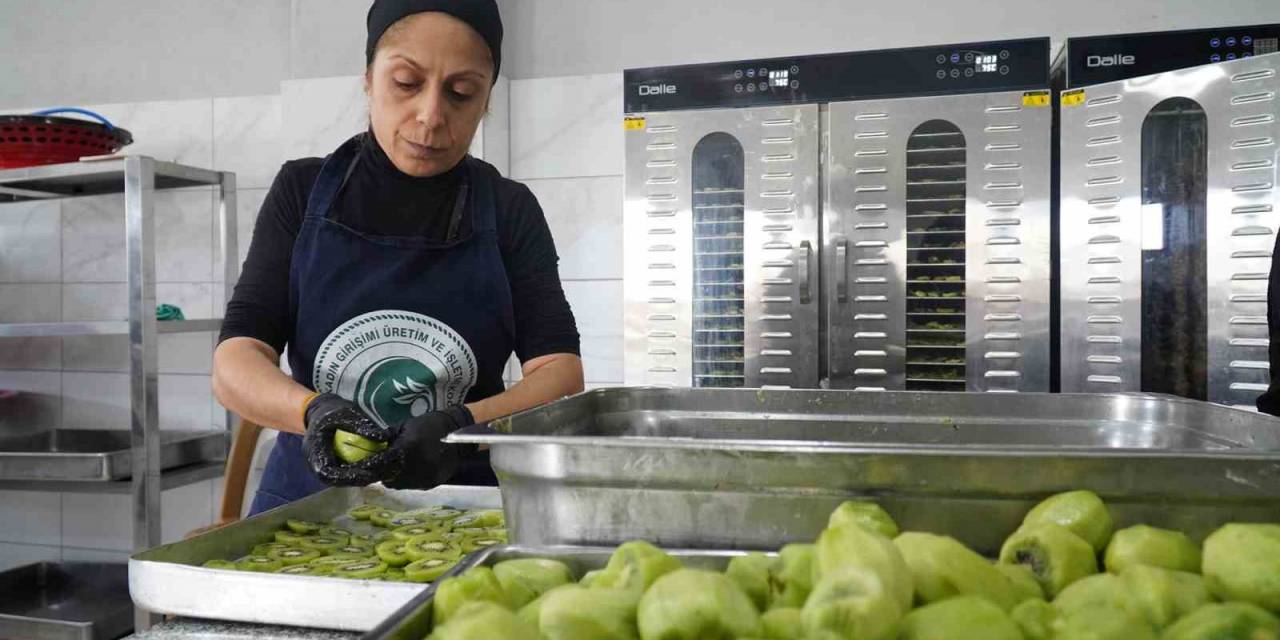 Altınova’nın Kadınları Üretimle Güçleniyor