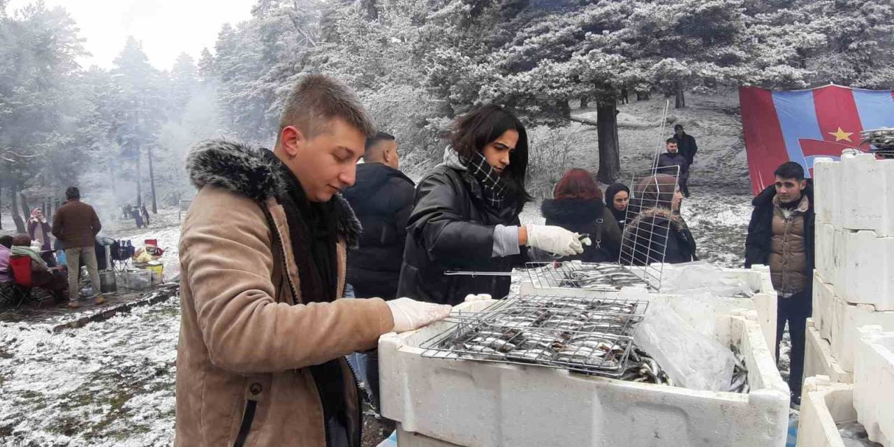 Karlar Altında Hamsi Festivali: 2 Ton Hamsi Tükettiler