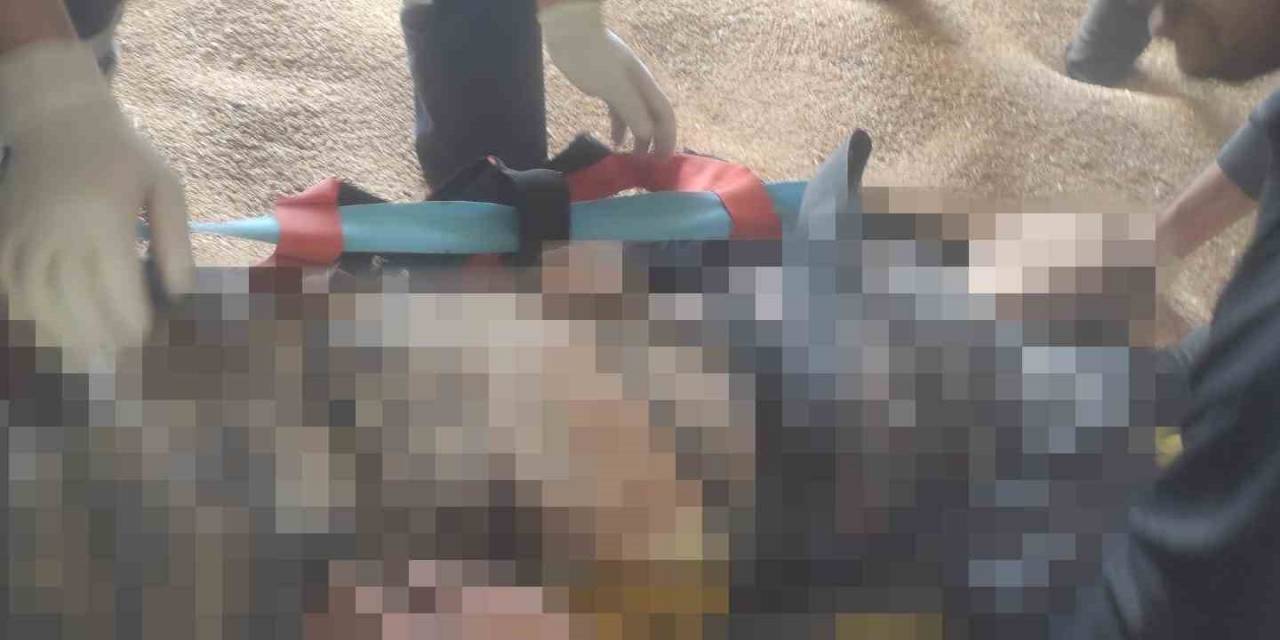 Buğday Silosuna Düşen 19 Yaşındaki İşçi Hayatını Kaybetti