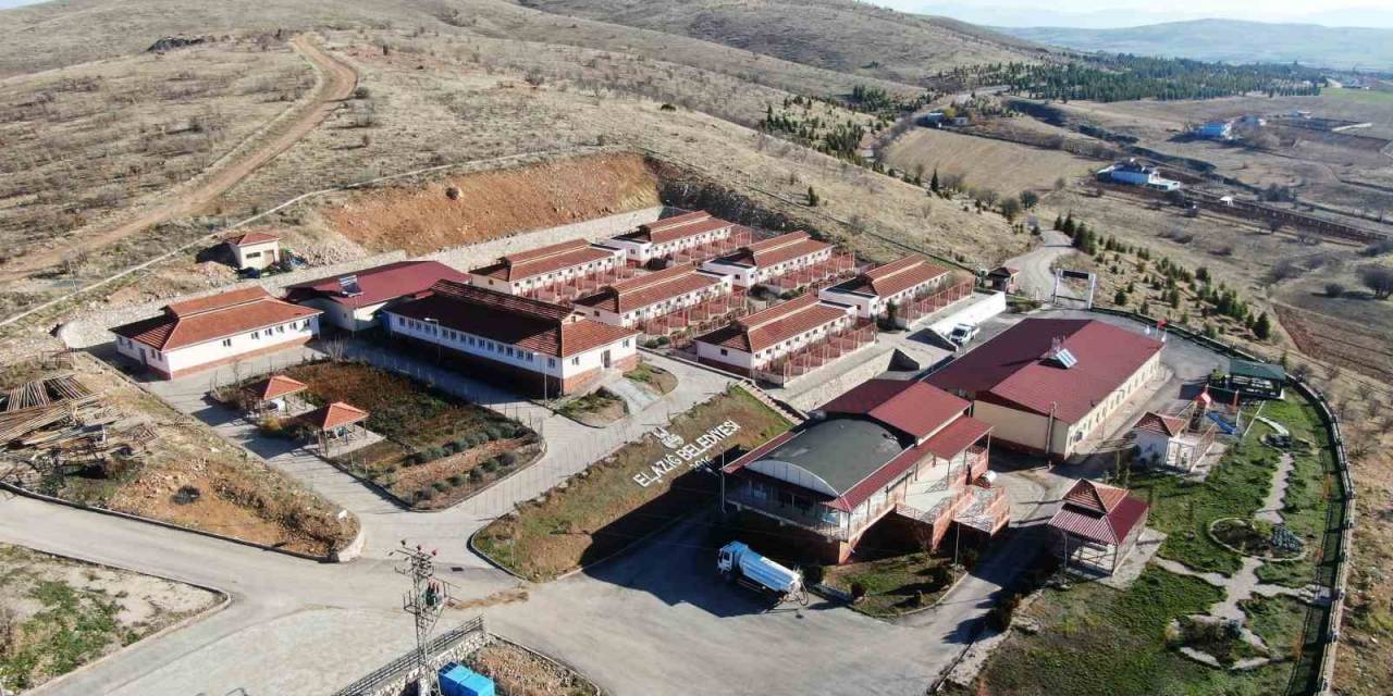 Geçici Hayvan Bakımevi Ve Rehabilitasyon Merkezi’nde Bir Yılda 11 Bin Hayvan Tedavi Edildi