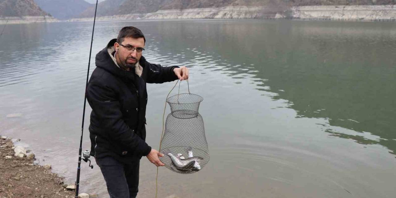 Kafeslerden Kaçan Balıkları Oltayla Tutuyorlar