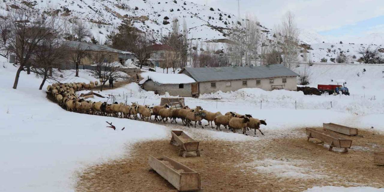 Besicilerin Kış Mesaisi Başladı